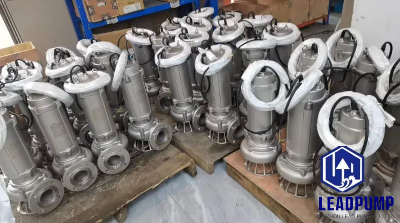 Pompa di fognatura di livello alimentare SS 316 personalizzato 80WQ40-16-4 eleva la sicurezza e l'efficienza per i clienti globali