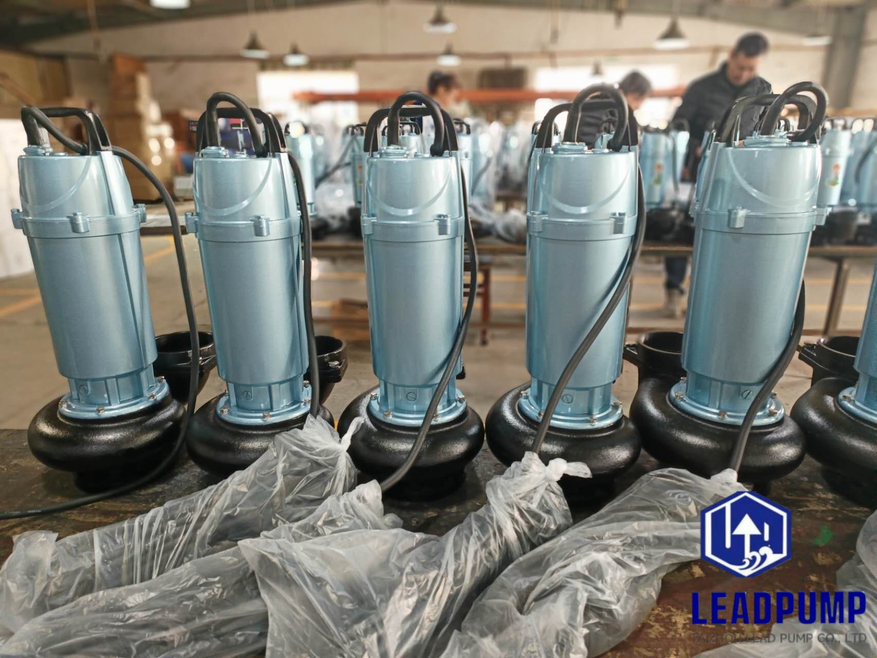 Taizhou Lead Pump Co., Ltd completa la produzione di nuove pompe sommerse per un cliente in Medio Oriente