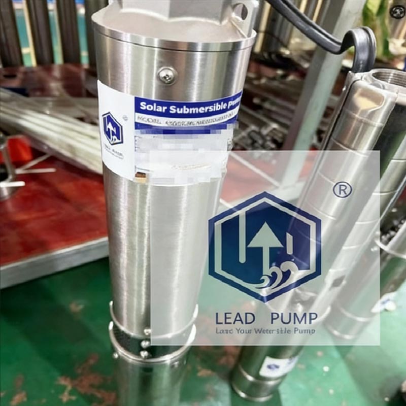 Rafforzare l'Africa orientale: pompe avanzate per pozzi profondi ad energia solare spedite con successo