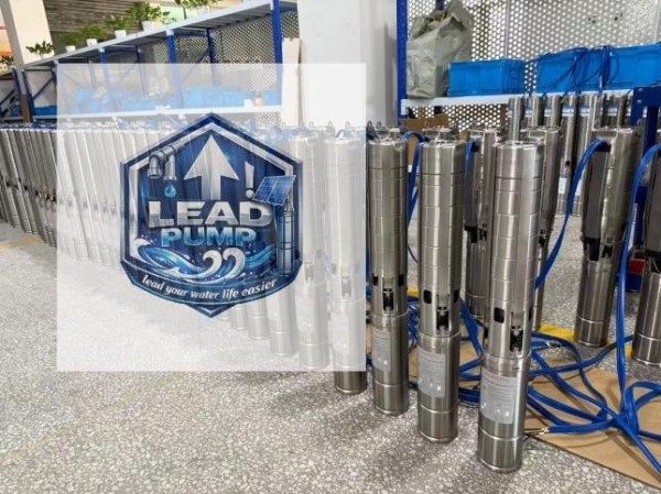 Oltre il prodotto: competere attraverso l’eccellenza del servizio in un mondo orientato ai prezzi