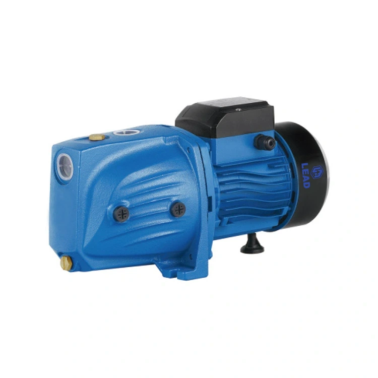 JSW 750 1 CHP Pompa dell'acqua di innesco